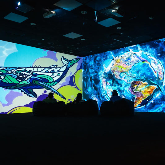 Experience Immersive Digital Art at Theatre of Digital Art Dubai