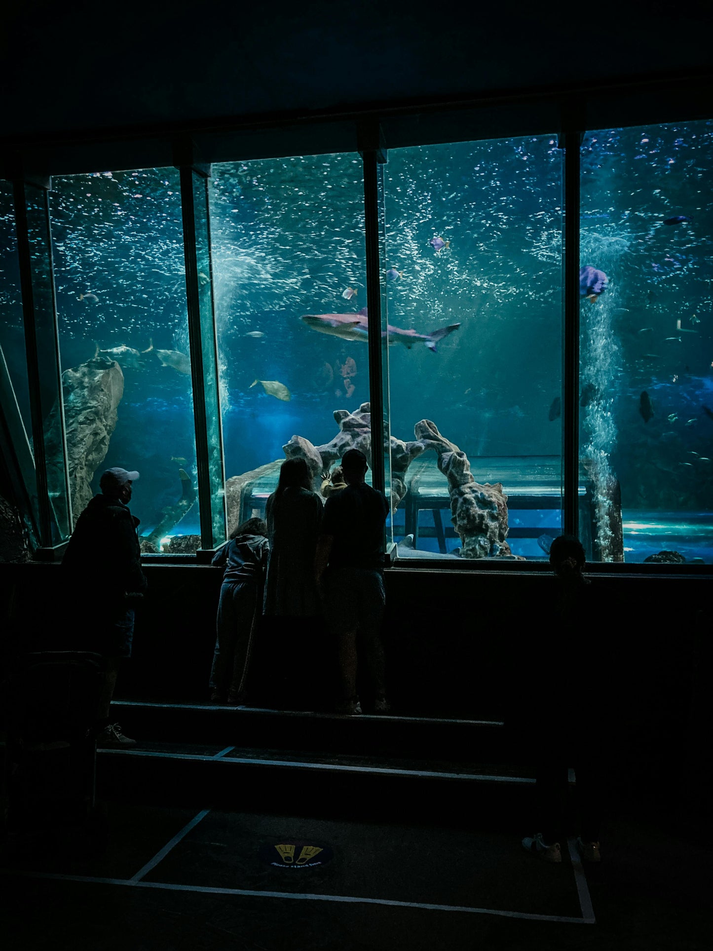 Dubai Aquarium and Underwater Zoo